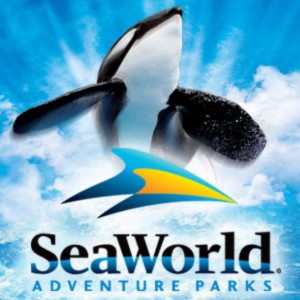 Best Deal Vacation Resort Near SeaWorld