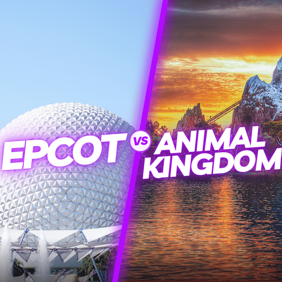 epcot vs animal kingdom comparison