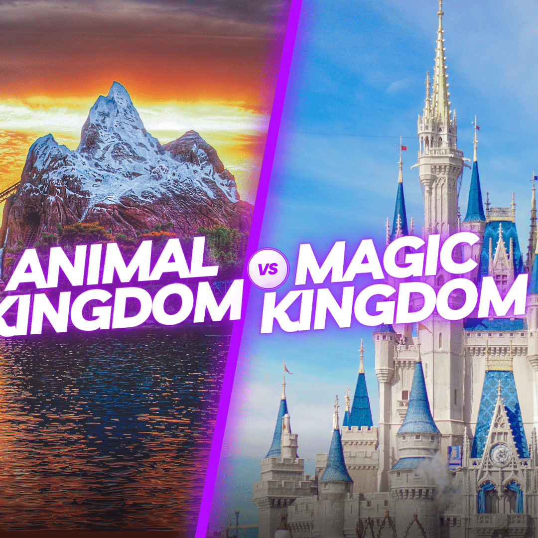 magic kingdom vs animal kingdom