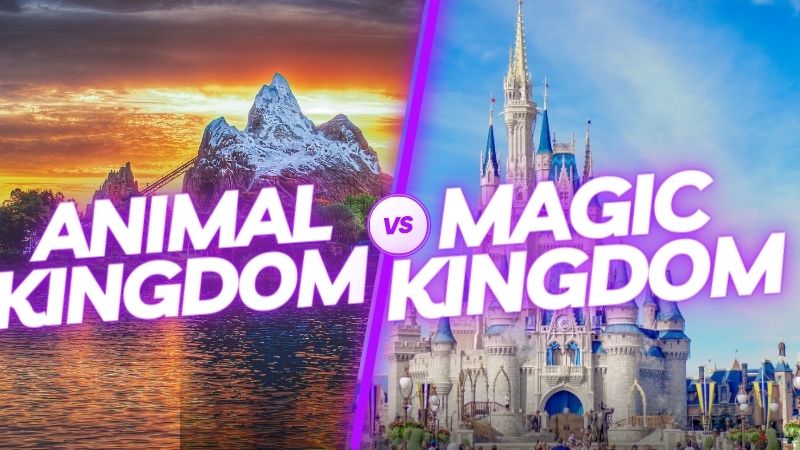 animal kingdom vs magic kingdom 