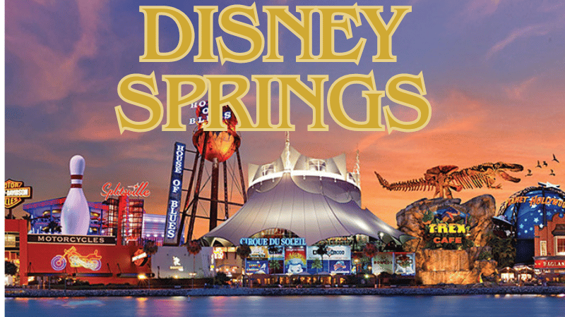 Disney Springs sky line