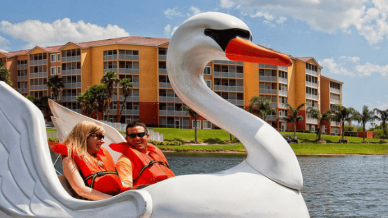 couple on a swan boat