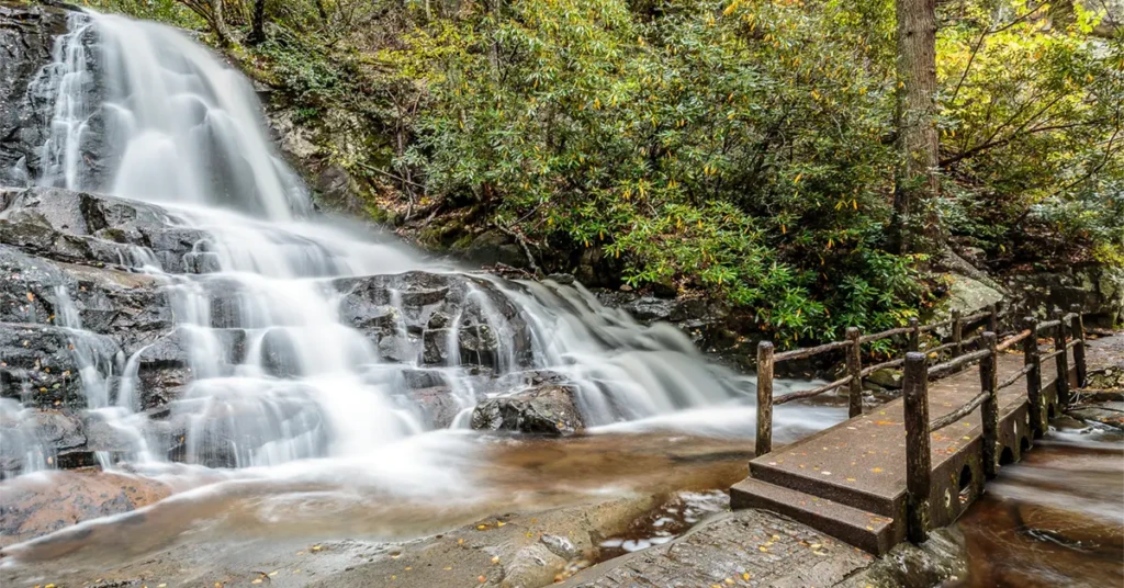 steps to a waterfall and trees